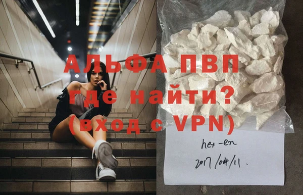 прущий лед Новозыбков
