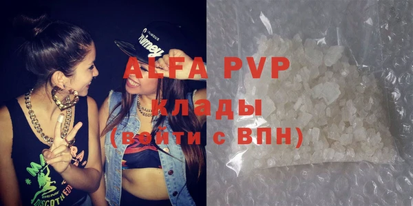 стаф Новокубанск