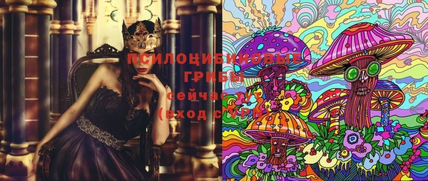 стаф Новокубанск