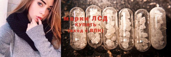 стаф Новокубанск