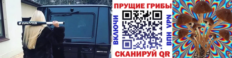 Галлюциногенные грибы прущие грибы  Когалым 