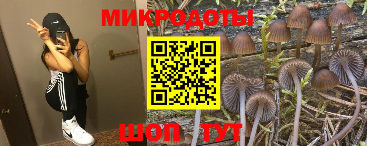 Галлюциногенные грибы Cubensis  Вход с VPN  Когалым  Псилоцибиновые грибы MAGIC MUSHROOMS 